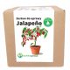  Jalapenopfeffersamen 540 g
