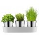 Töpfe und Pflanzgefäße für den Außenbereich und den Garten WMF Blumentopf 36 cm x 12,5 x 10,8 cm Durchmesser 12,5 cm Weißmetall
