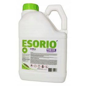  Myzel für verrottende Baumstämme Poszwald