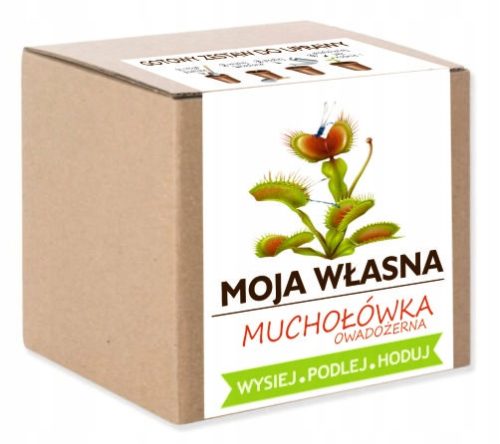  Dionaea miscipula Samen 1000 g