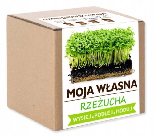  Kressesamen 1000 g