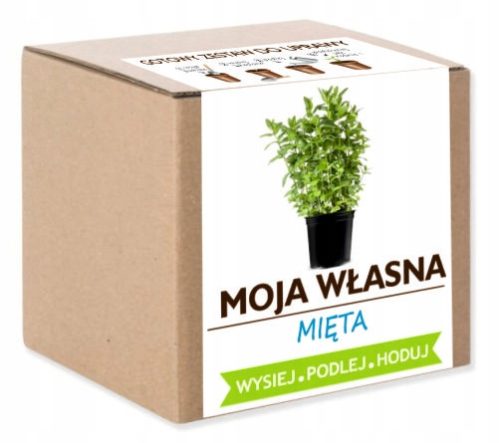  MINT-Wachstumsset