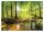 Fototapete WALDBÄUME NEBEL NATUR 3D-ANSICHT 368x254