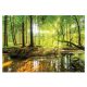 Fototapete WALDBÄUME NEBEL NATUR 3D-ANSICHT 368x254