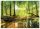 VINYL-Tapete Wald Bäume Natur 3D 368x254