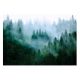 Fototapete für das Wohnzimmer FOREST IN THE MOG 3D Bäume 368x254