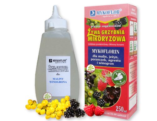  MYKORRHIZA für HIMBEEREN JOHANNISBEEREN WEINBERGE MYKOFLOR