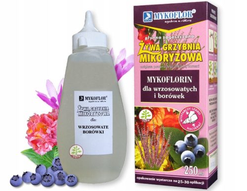  Mykorrhiza Blaubeere Rhododendron Heidekraut Myzel