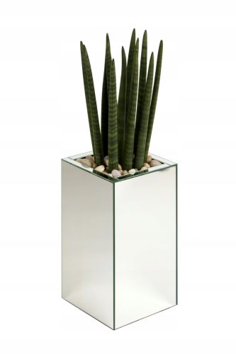 Blumentöpfe   Abdeckung 50 x 25 cm Glas
