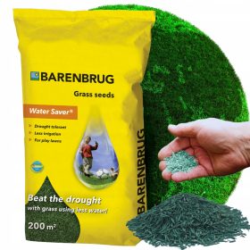  Barenbrug dekoratives Gartengras 200 m² 5 kg
