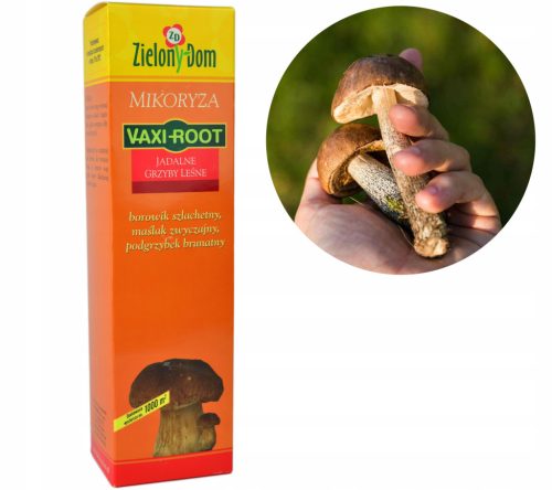  Mykorrhiza Kozielski Vaxi Wurzel essbare Waldpilze