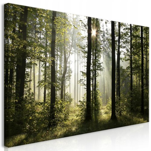 Bilder an der Wand OBRAZ XXXL DIY THE NATURES 160x80 cB-0254-ak-e