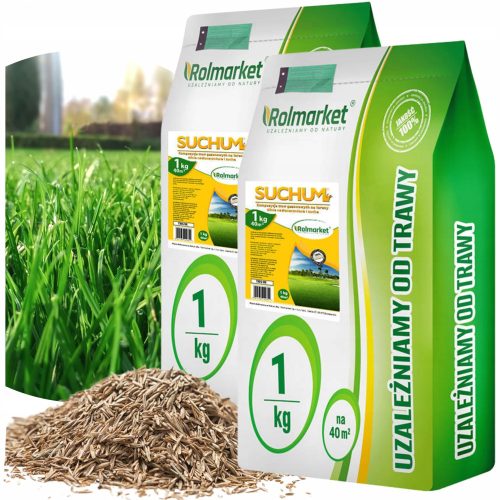  Rolmarket Grasmischung 80 m² 2 kg