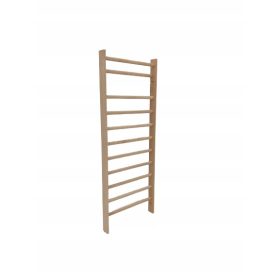  STANDARD-Turnleiter 220x80 cm