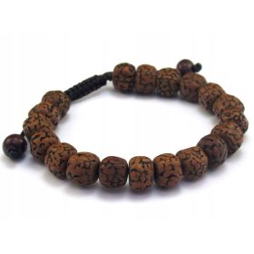  ARMBAND kleine buddhistische RUDRAKSHA-Samen [B745]