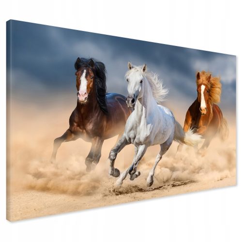 Bilder an der Wand Malerei auf Leinwand Pferde galoppieren Sand 120x80