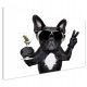 Bilder an der Wand Leinwanddruck Hund Boxer trinken 120x80
