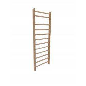  STANDARD-Turnleiter 230x90 cm