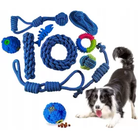    Ein Set mit 10 Hundespielzeugen: ein Ball mit Leckerlis, Kausnacks und Beißspielzeugen