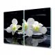 Schneidebretter Abdeckung für Induktionskochfeld Gift Orchid 2x30x52