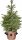 Weihnachtsbaumständer WEIDEKORB FÜR WEIHNACHTSBAUM, NATURSTÄNDER, ANHÄNGER