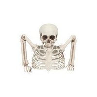 Skelette und Totenköpfe für Halloween