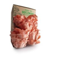 Myzel und mykorrhiza