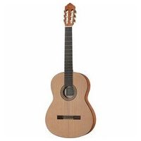 Gitarren und Zubehör