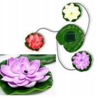 Beleuchtung für Teiche